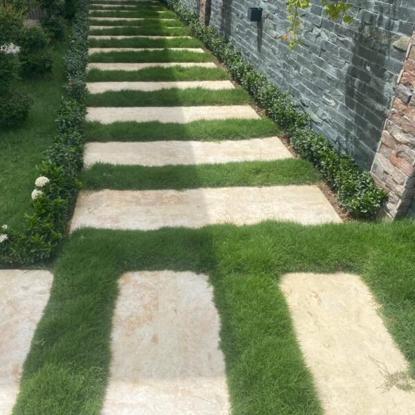 Piedra Coralina Natural y Apomazada